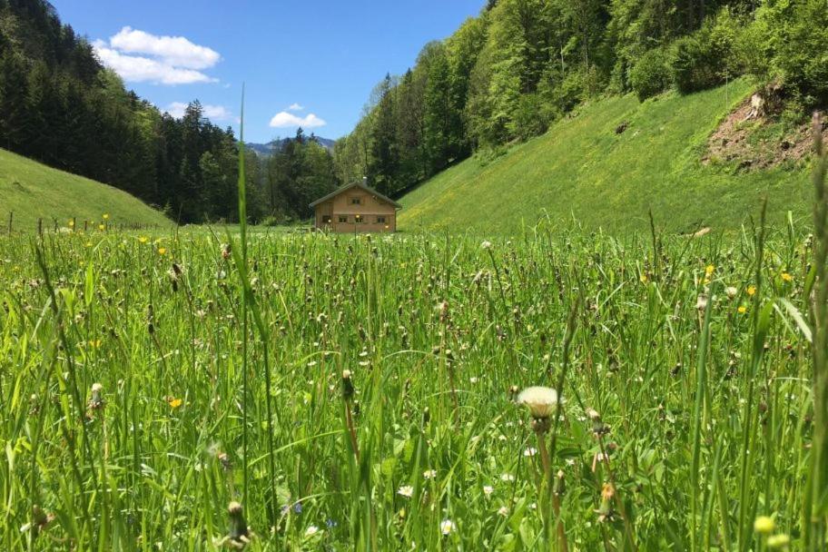 Ferienhaus Rimsgrund Villa Bezau Bagian luar foto